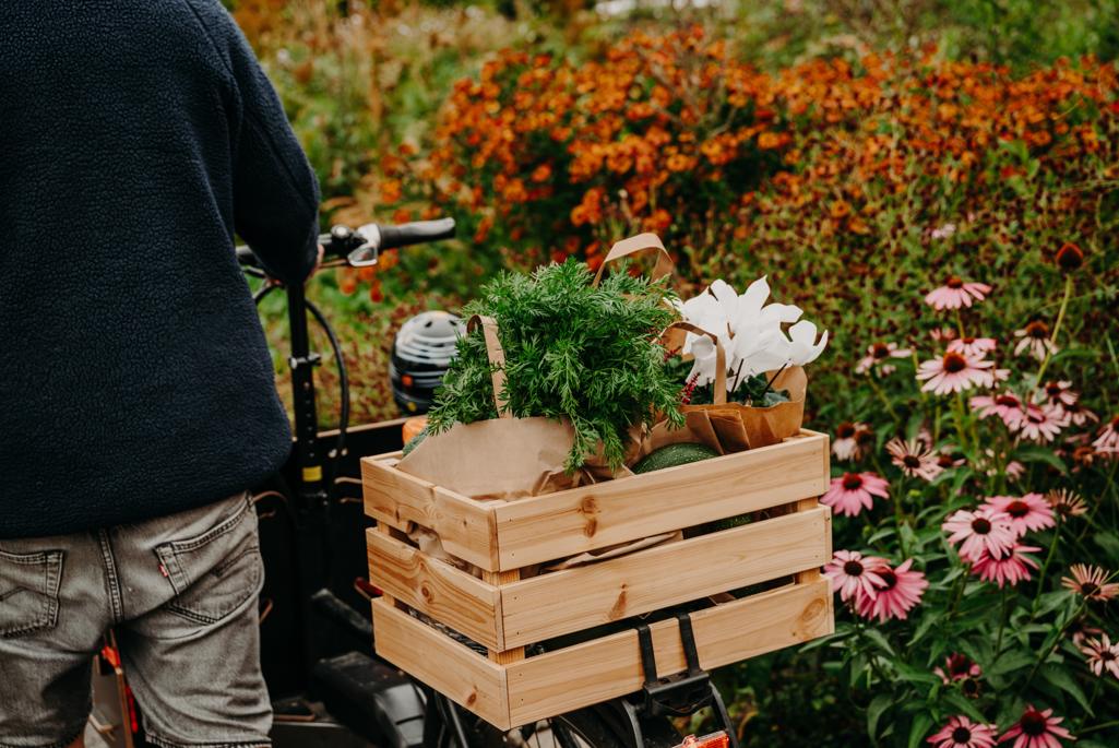 Foto på blommor och örter i en cykelkorg.