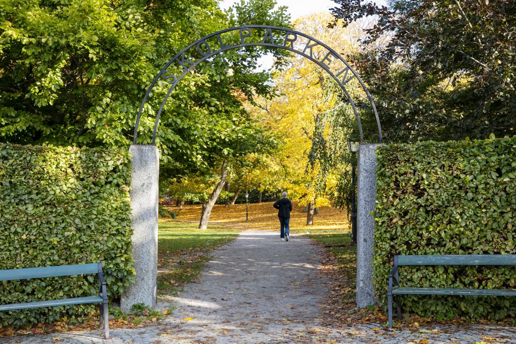 Foto på Skolparken under hösten. 