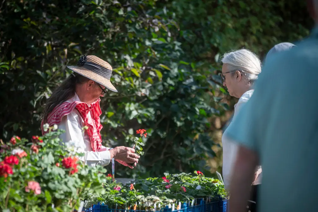 Foto på en kvinna i hatt som står och säljer blommor i ett stånd.
