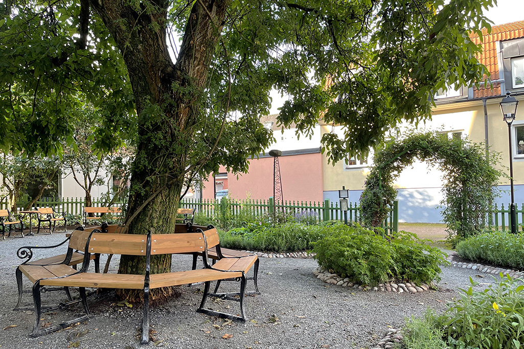 Foto på Rådhusgården under sommaren. I bilden syns en vacker parkbänk som går hela vägen runt ett stort träd. I bakgrunden syns fler parkmöbler, en ingång till parken med ett valv samt en plantering med Dr. Westerlunds pelargoner.